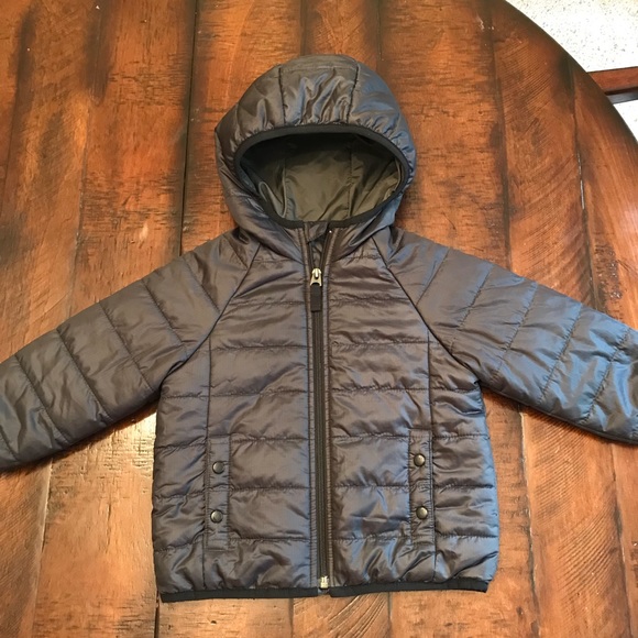 gap lite puffer jacket